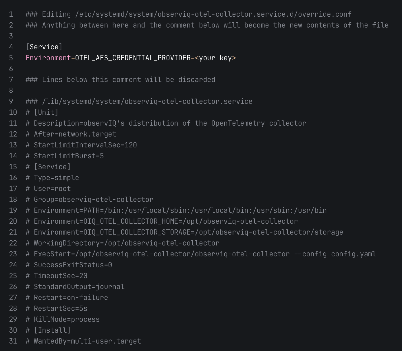 Bindplane docs - systemd override